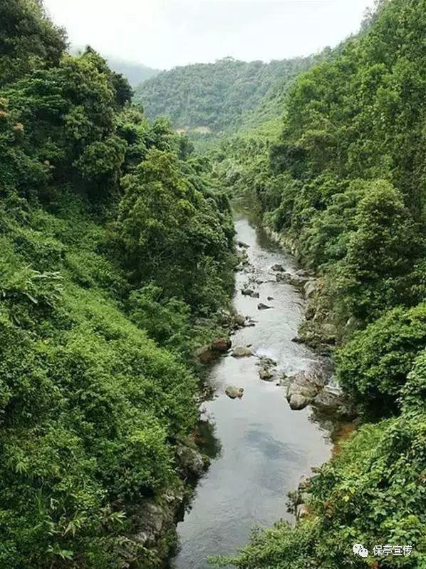 专访 | 孙虹：《烟火人间》就像是一座“人间博物馆”